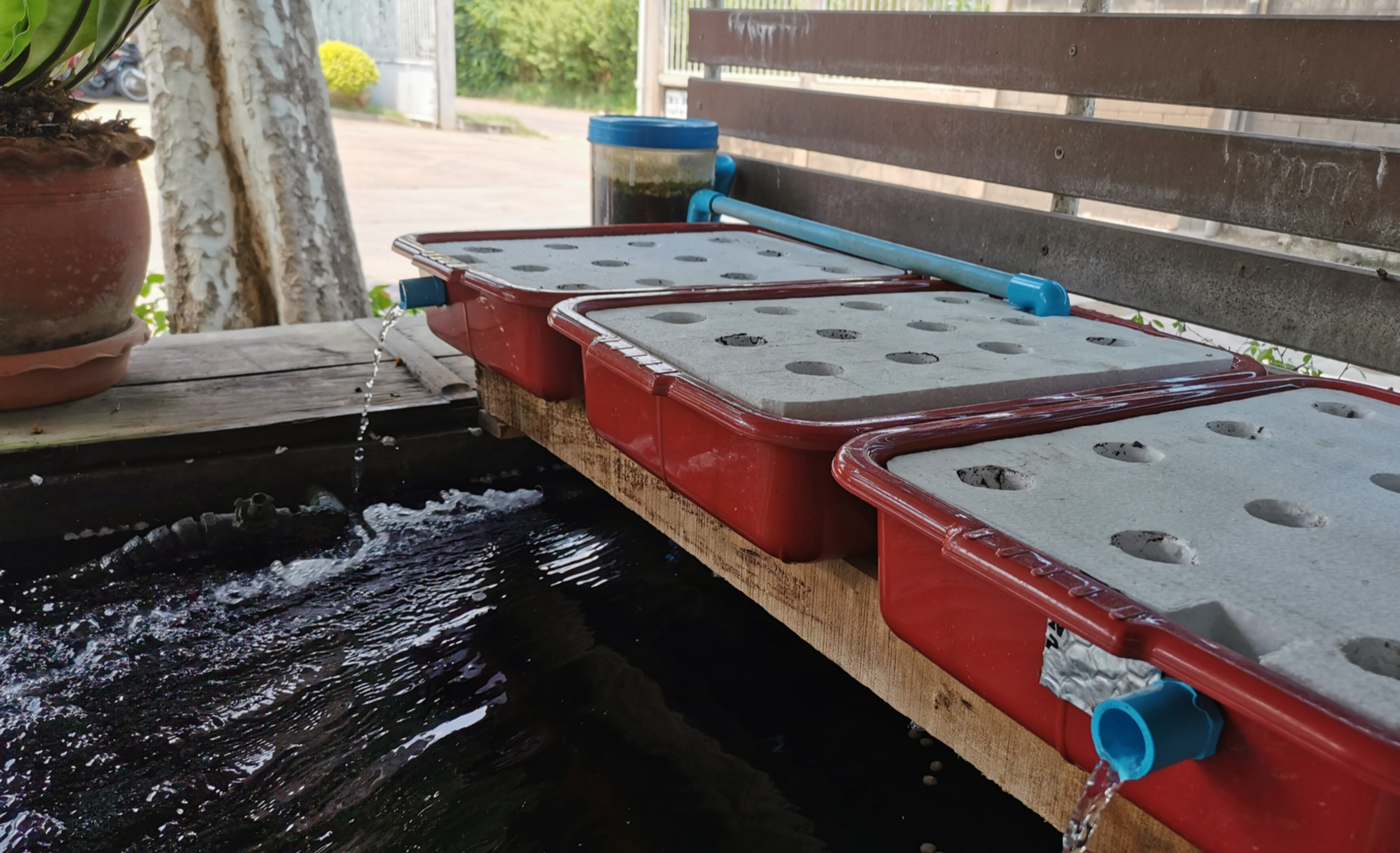 Foto des Aquaponik-Kreislaufs